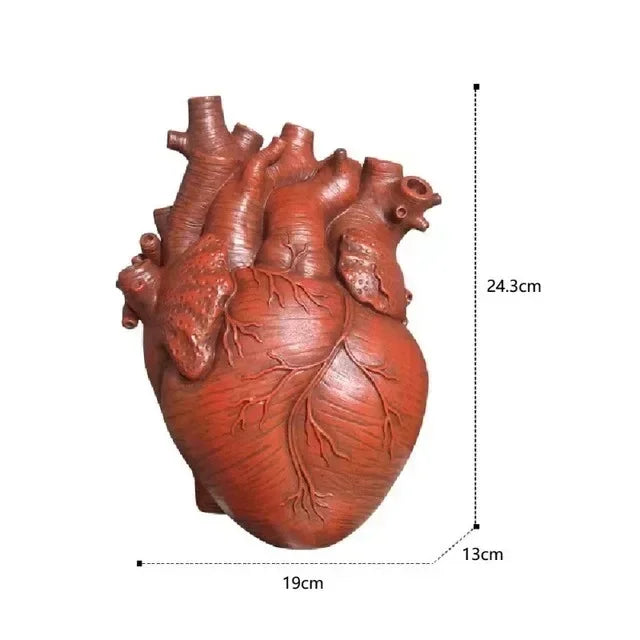 Heart Vase Decorative Dry Pot Human Anatomy Statue Container
