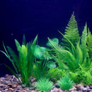 Artificial Aquarium Plants Green Plastic Underwater Fish Tank Decor