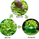 Slug Protection Rings For Garden Plants Flower Pots Vegetables Pest Control