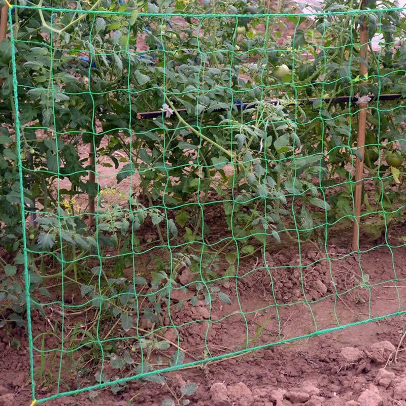 Garden Climbing Netting Nylon Trellis Mesh For Plants Flowers Vegetables